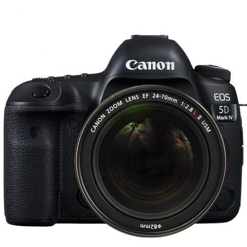 Canon EOS 5D Mark IV + 24-70mm f/2.8L II USM