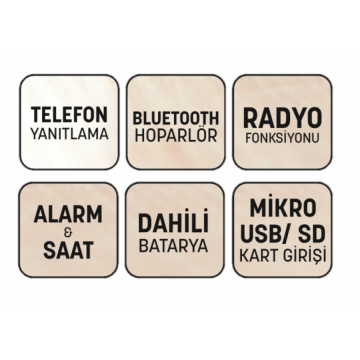 GOLDMASTER WAKER BT.ALARM SAATLİ RADYO GOLD 3008044-8