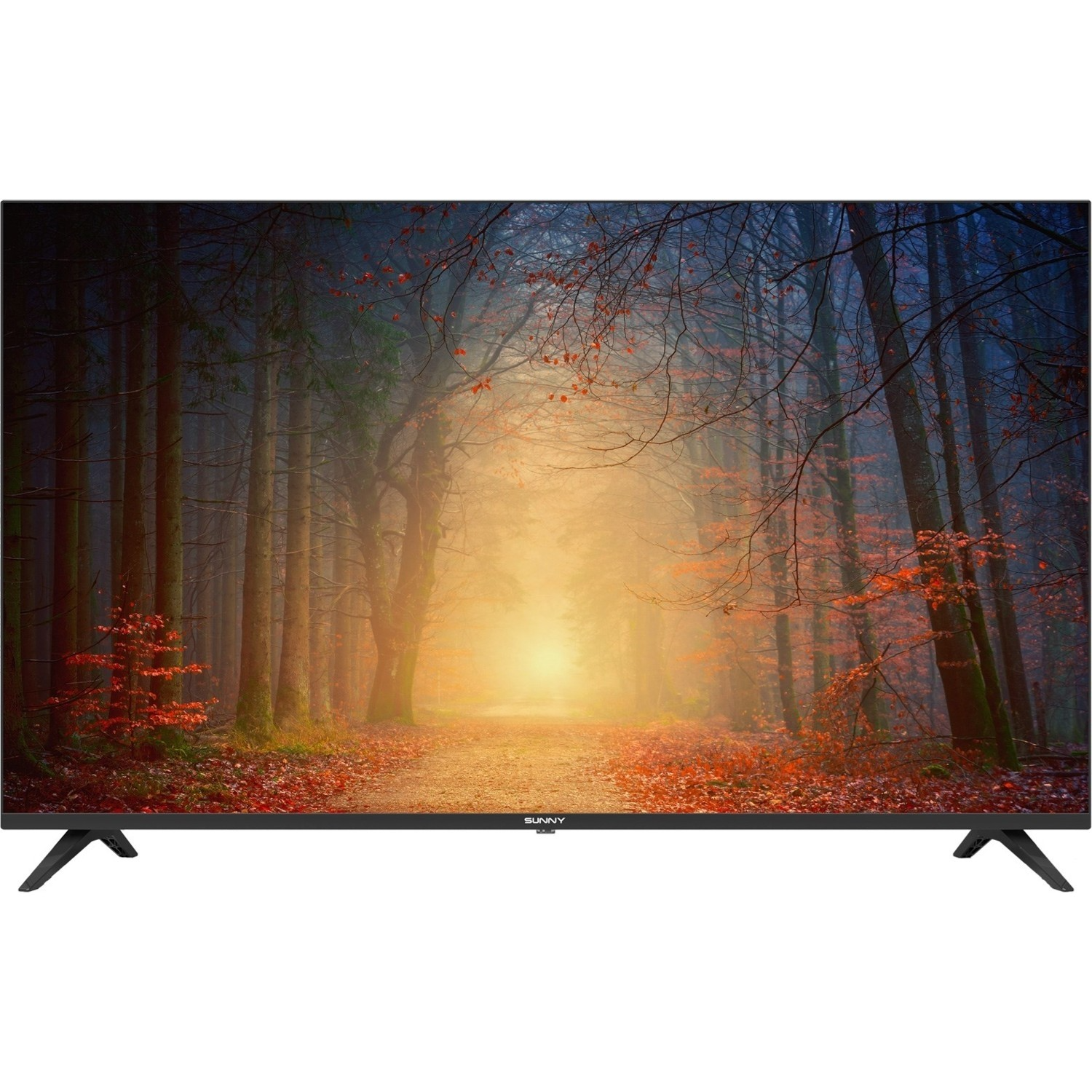 SUNNY SN50FMN602/0266 4K Ultra HD 50