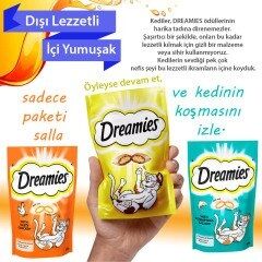 Dreamies cheese peynirli Kedi Ödül Maması 60 Gr