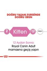 Royal Canin Kitten Tavuklu Yavru Kedi Maması 10 kg