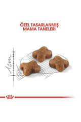 Royal Canin Kitten Tavuklu Yavru Kedi Maması 10 kg