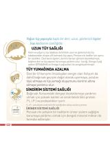 Royal Canin Adult Persian Irk Yetişkin Kedi Maması 2 Kg
