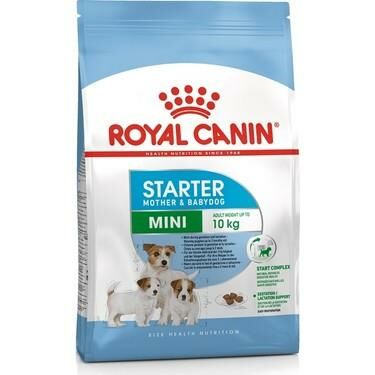 Royal Canin Mini Starter Puppy Yavru Köpek Maması 4 Kg