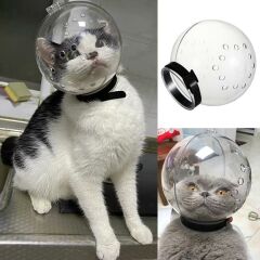 Lavimo Kedi Bakım Küresi