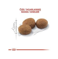 Royal Canin Sterilised Kısırlaştırılmış Kedi Maması 4 Kg