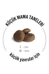 Happy Dog Sensible Mini Neuseeland Kuzu Etli Köpek Maması 4 KG