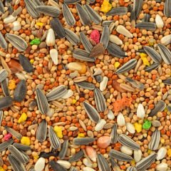 Quik Paraket Yemi 750 Gr x 6 Adet