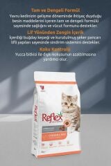 Reflex Kitten Food Tavuk Etli Yavru Kedi Maması 10 Kg