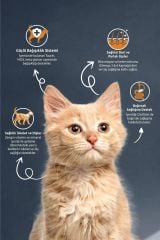 Reflex Kitten Food Tavuk Etli Yavru Kedi Maması 10 Kg