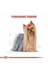 Royal Canin Yorkshire Terrier Adult Yetişkin Köpek Maması 1,5 Kg