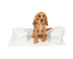 Puremed Kedi Köpek Çiş Pedi 60 x 90 CM 30'lu