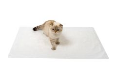 Puremed Kedi Köpek Çiş Pedi 60 x 90 CM 30'lu