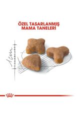 Royal Canin Sensible 33 Hassas Sindirim Sistemi Olan Kediler İçin Yetişkin Kedi Maması 2 Kg
