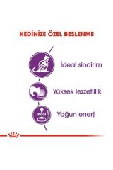Royal Canin Sensible 33 Hassas Sindirim Sistemi Olan Kediler İçin Yetişkin Kedi Maması 2 Kg