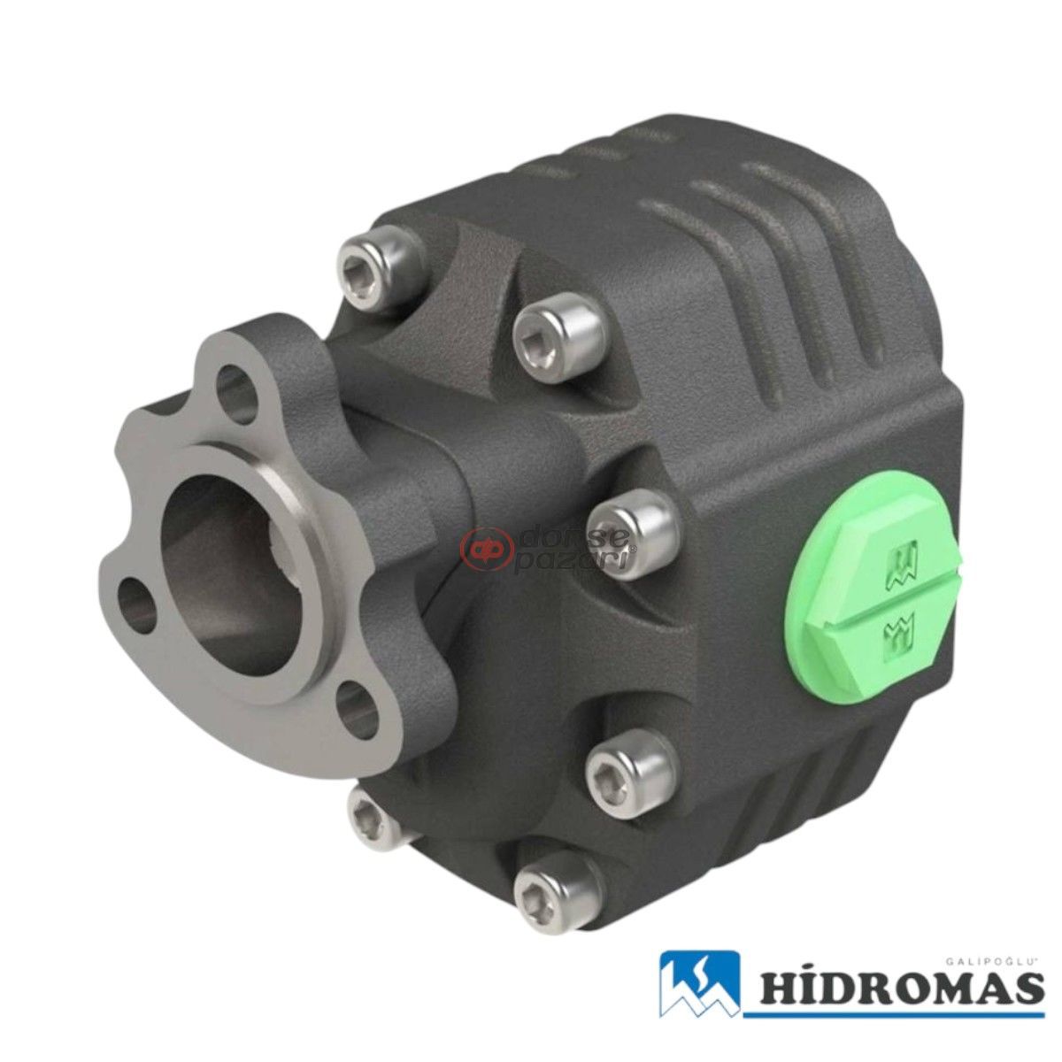 DP 30-51 T1 SAĞ DİŞLİ POMPA