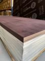 24X1250X2500MM İTHAL WİREMESH DORSE TABAN TAHTASI PLYWOOD
