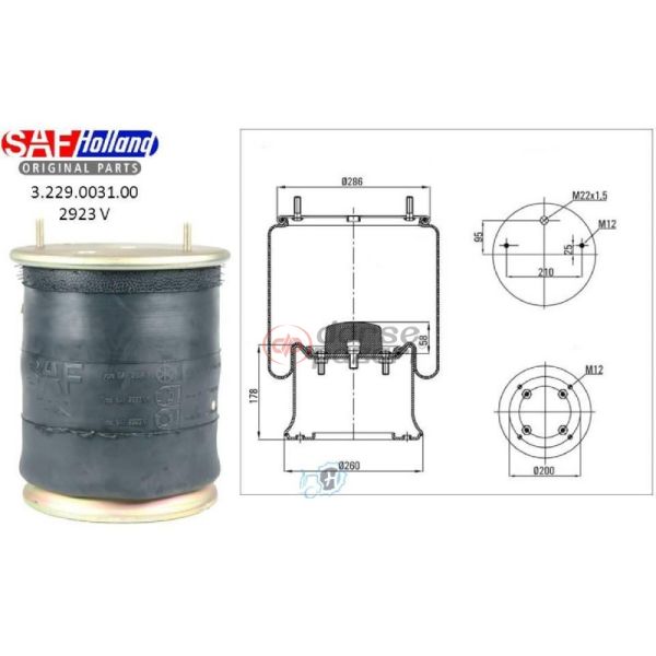 2923 SAF DİNGİL SÜSPANSİYON KÖRÜK V SAF 03229003100