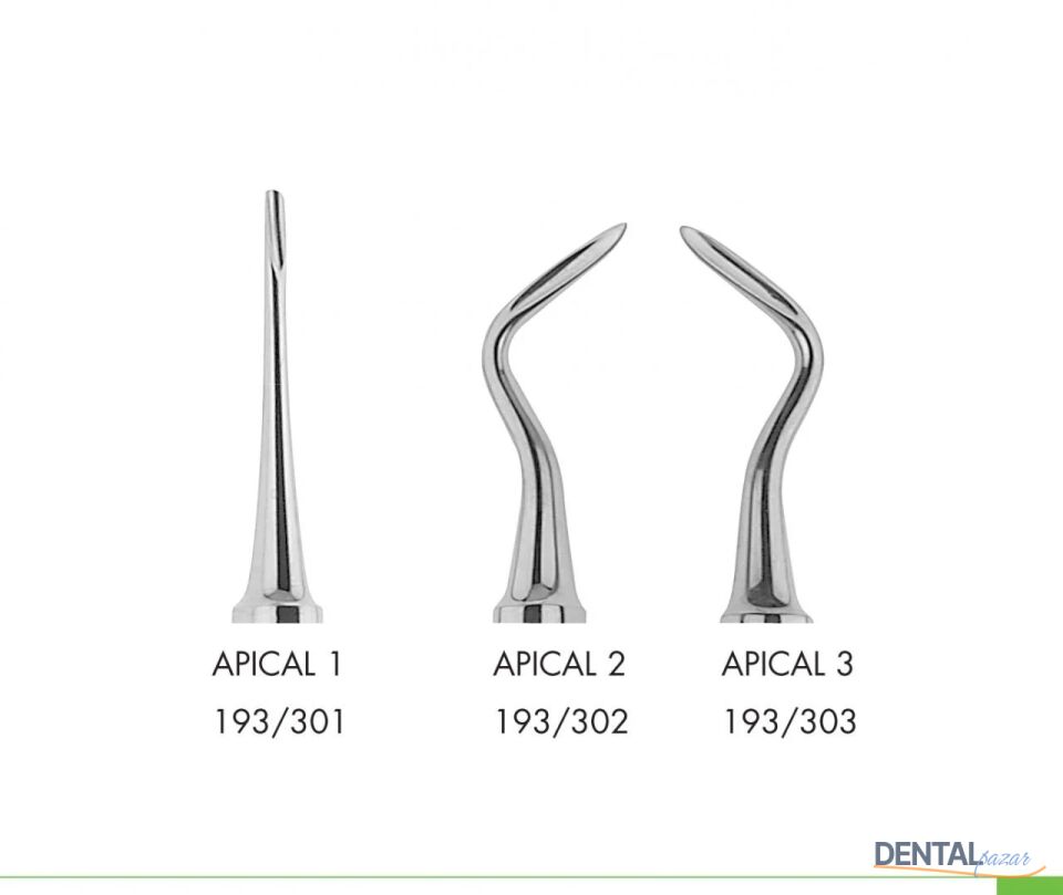 Flohr Apical Elevatör