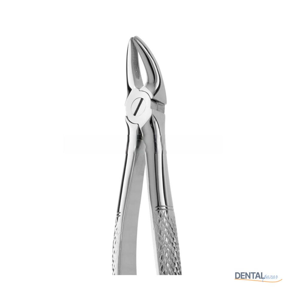 Davye Upper Molar Left - 136