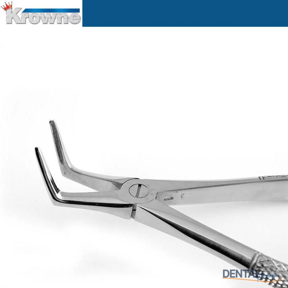 Davye Lower Root