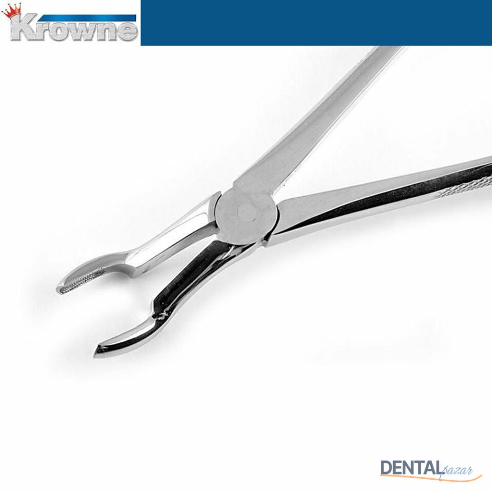 Davye Upper Third Molar - 67