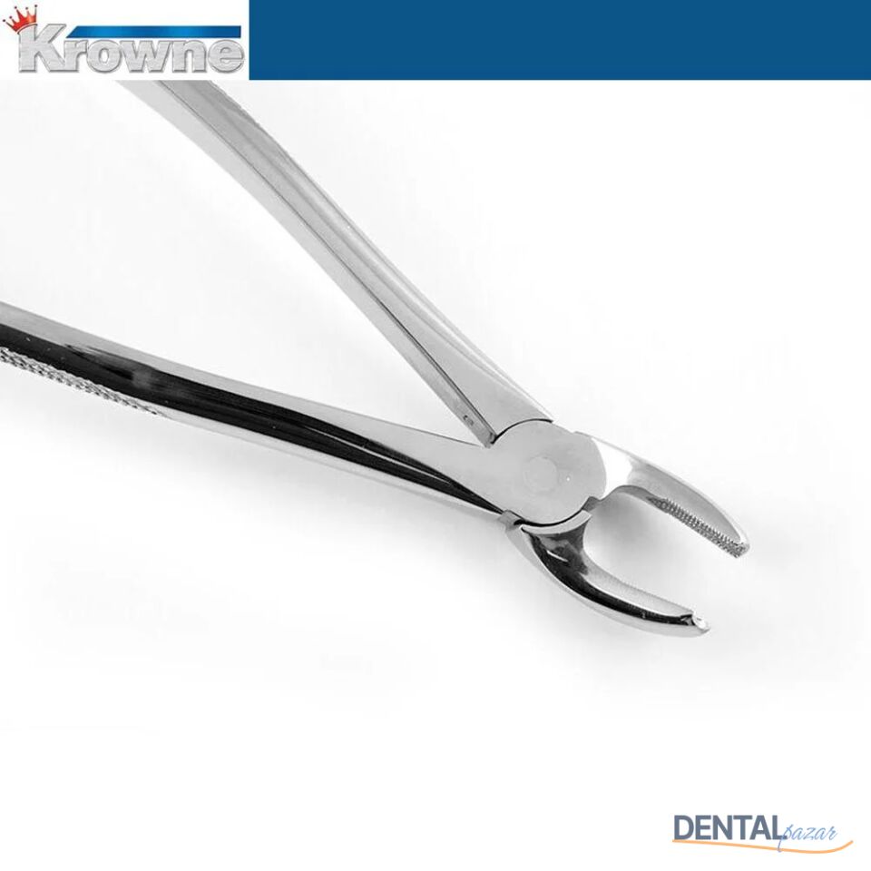 Davye Upper Molars Left - 18