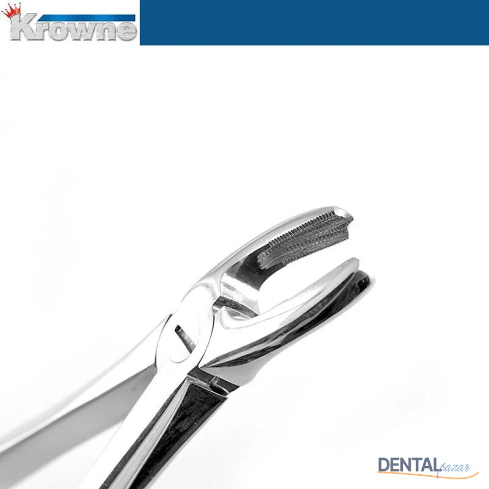 Davye Upper Molars Left - 18