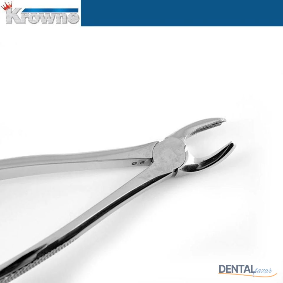 Davye Upper Molar Rights - 17