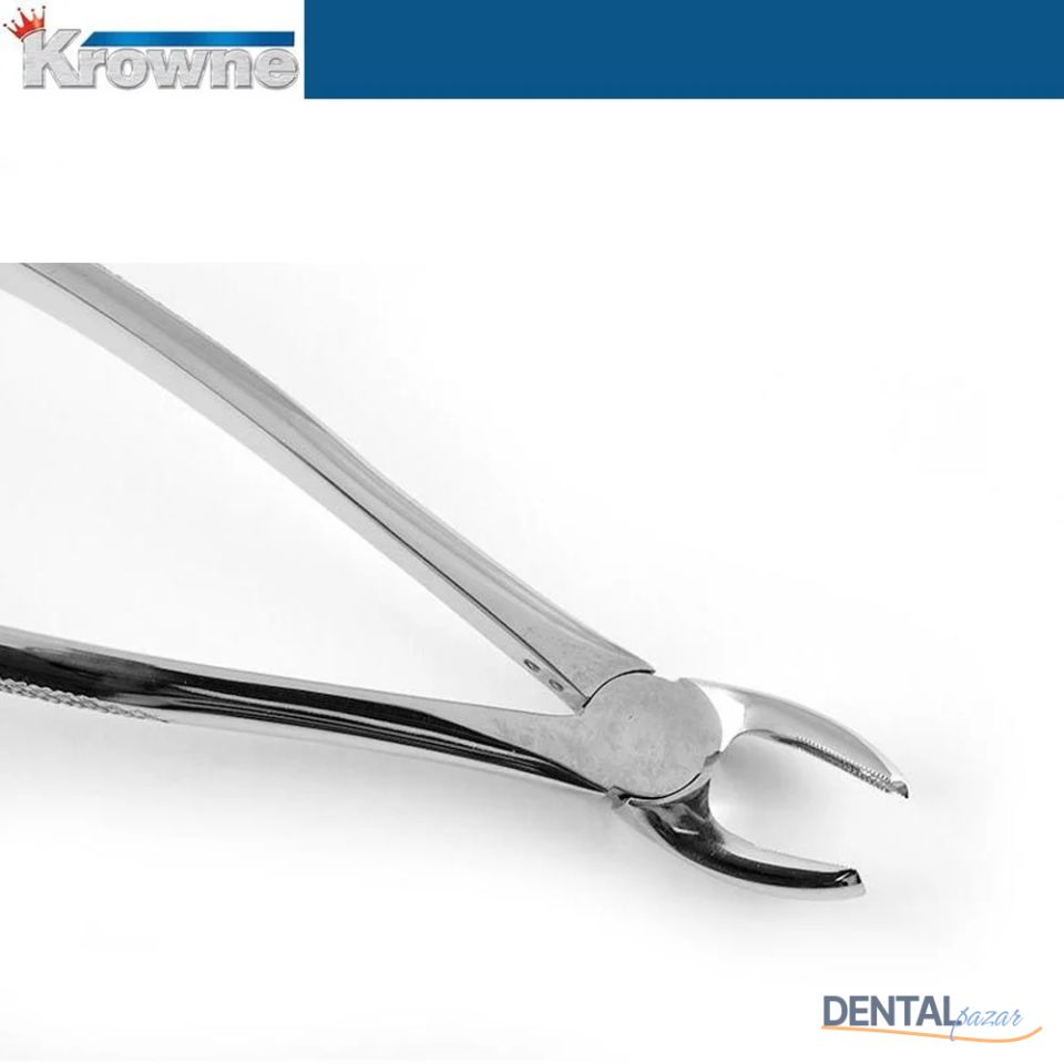 Davye Upper Molar Rights - 17