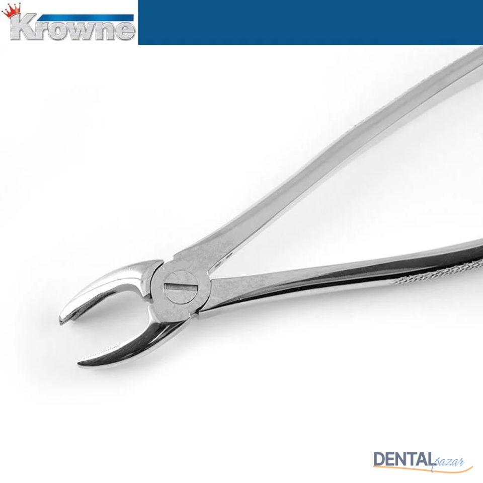 Davye Upper Molar Rights - 17