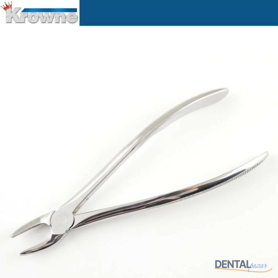 Davye Upper Premolar - 7