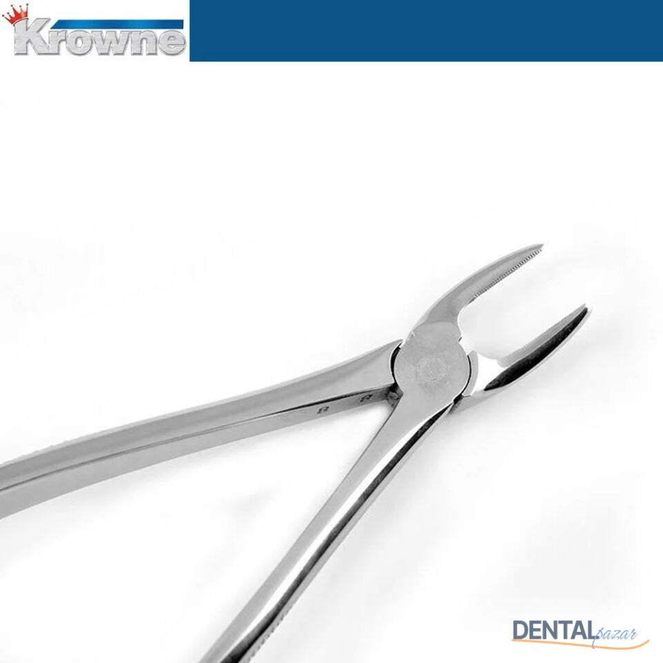 Davye Upper Premolar - 7