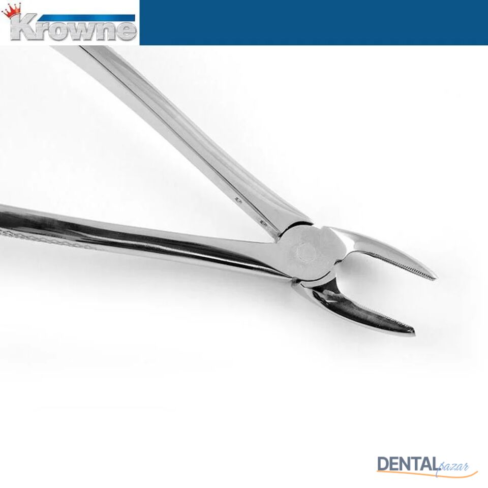 Davye Upper Premolar - 7