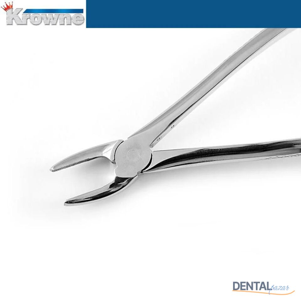 Davye Upper Premolar - 7
