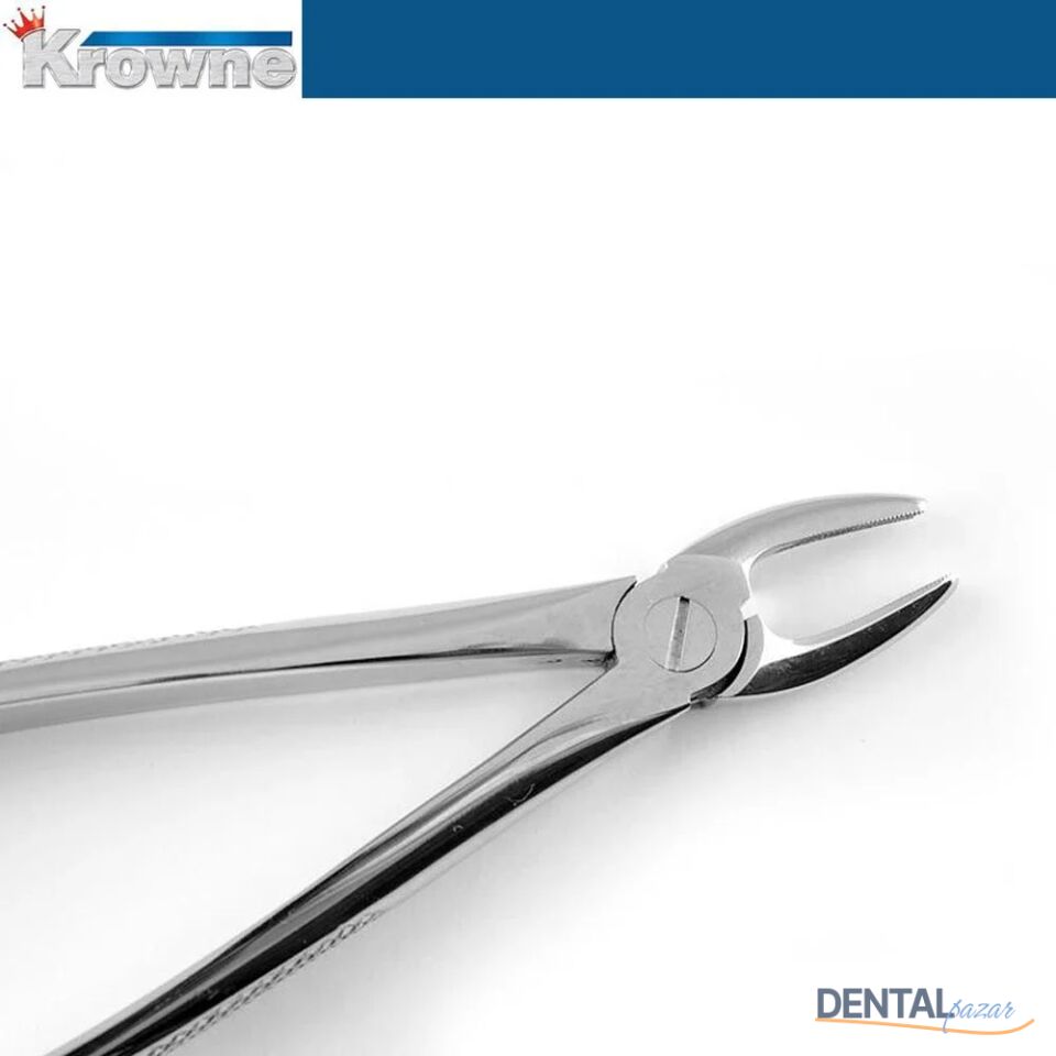 Davye Upper Centrals and Canines - 2R