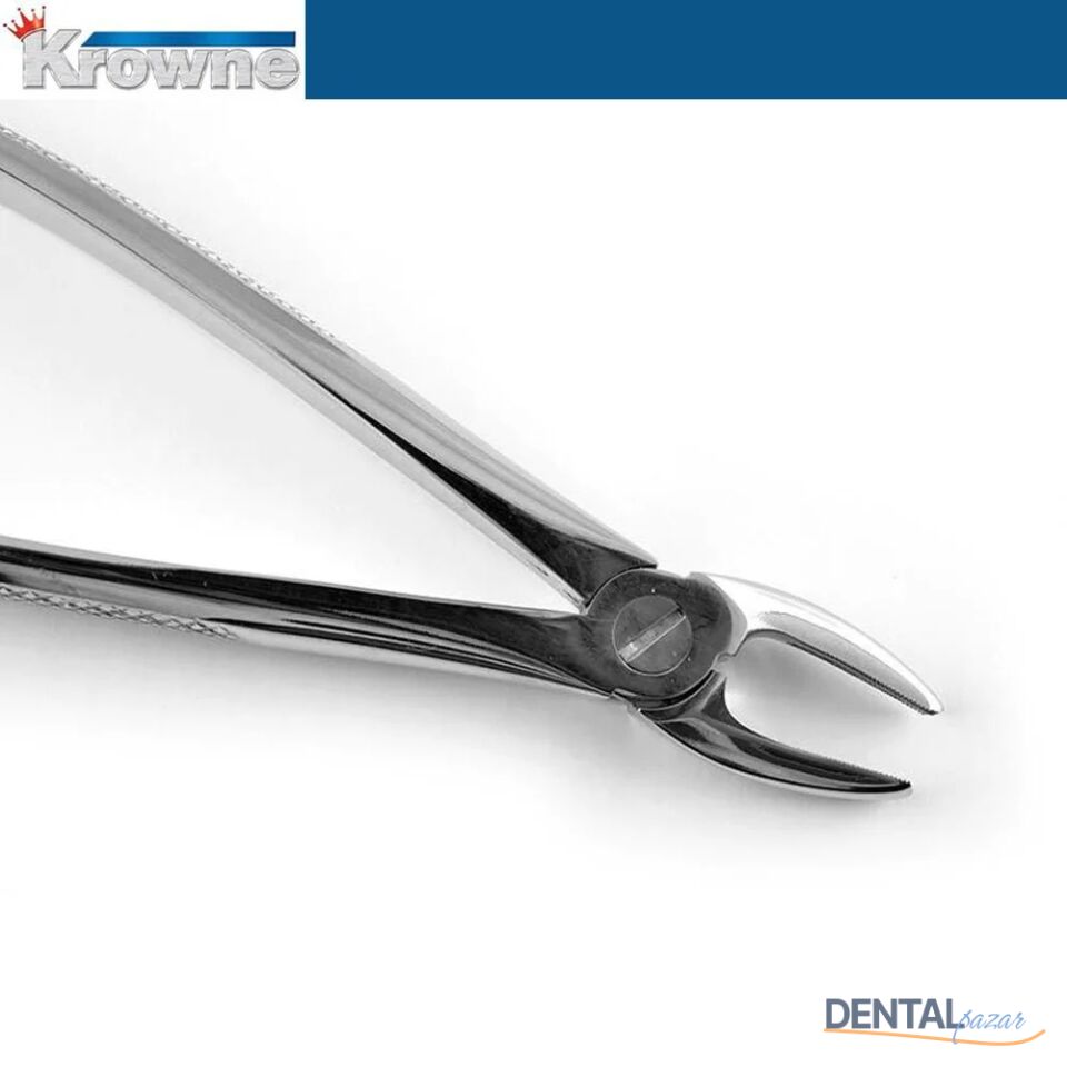 Davye Upper Centrals and Canines - 2R
