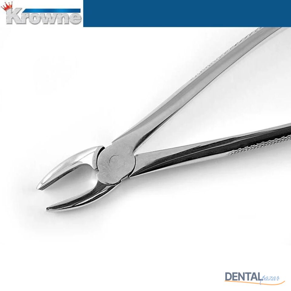 Davye Upper Centrals and Canines - 2R