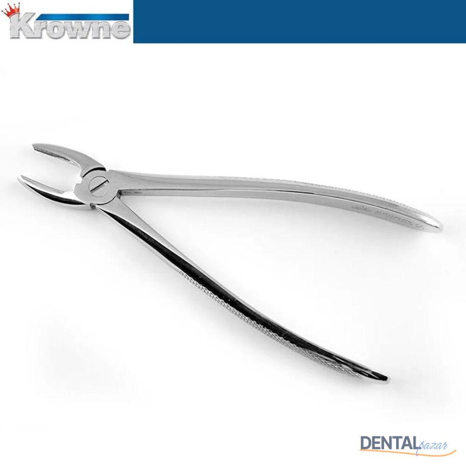 Davye Upper Centrals and Canines - 2R