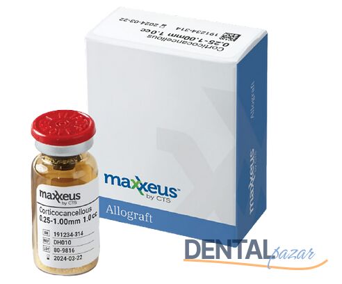 Kemik Grefti - Allograft - İnsan Kaynaklı - 1 cc