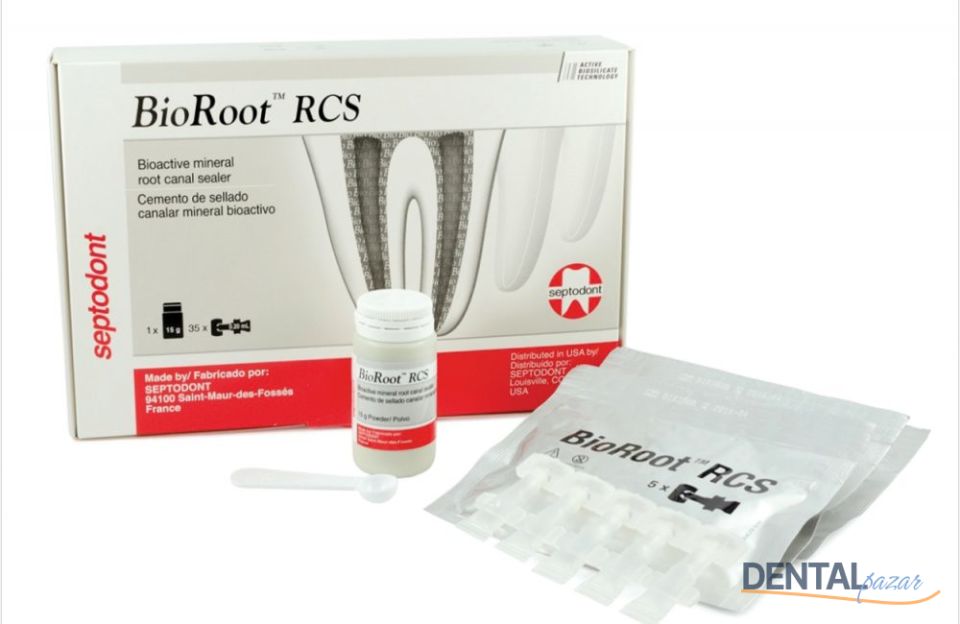 BioRoot RCS Kök Kanal Tamir Patı