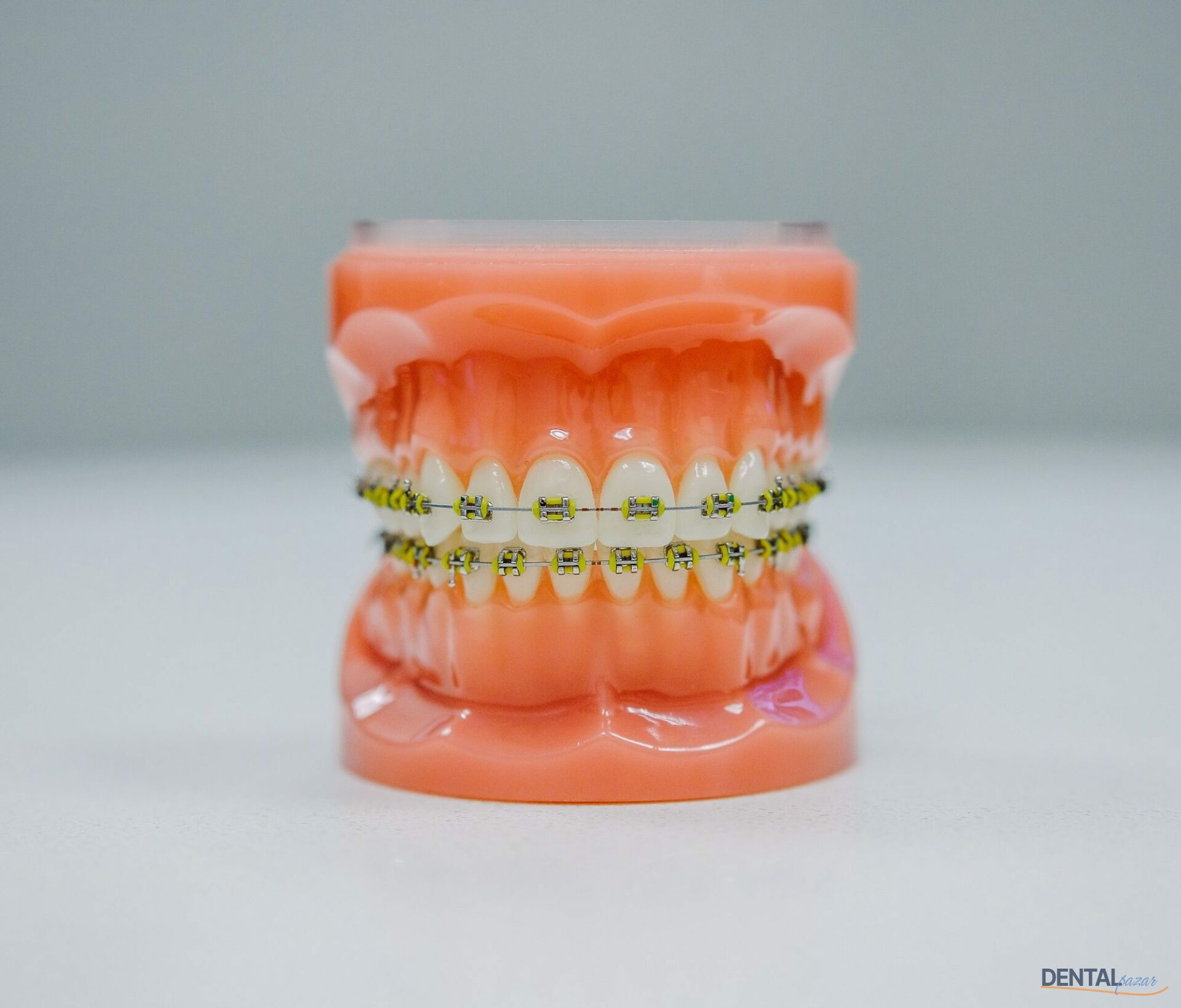 Ortho- LipGuard Braket Koruyucu