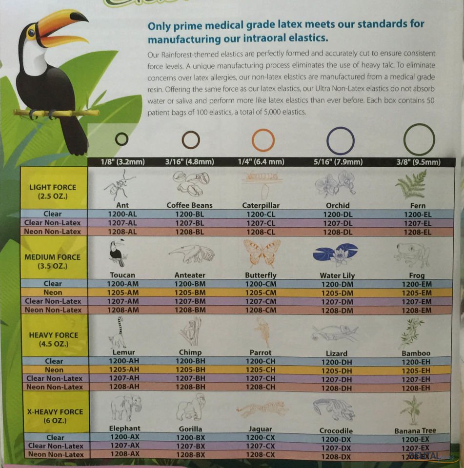 Rainforest Agız İçi Lastigi Rondel