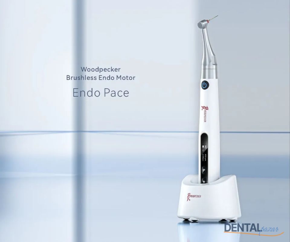 Endo Pace - Endomotor