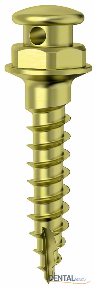 Orthofix Titanyum Orthodontik Mini Vida 2.0 mm Çap