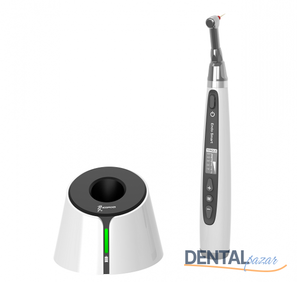Endo Smart - Endomotor