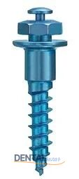 Aarhus Button Head Screw