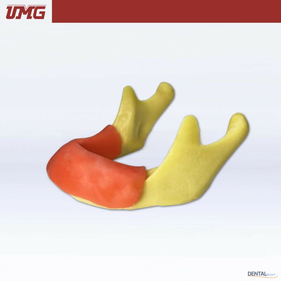 İmplant Yerleştirme Uygulaması için Anatomik Şekilli Kemik Mandibula - UM-Z12