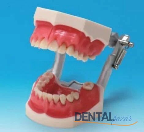 Periodental Hasta Eğitim Modeli
