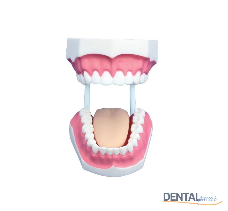 Dental Hasta Similatörü